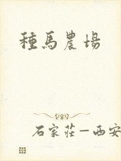 种马农场封面