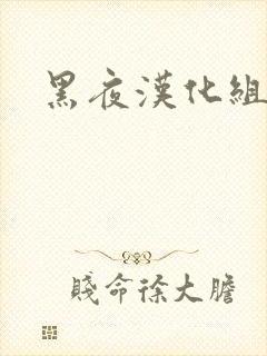 黑夜汉化组