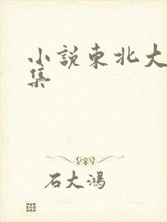 小说东北大炕全集