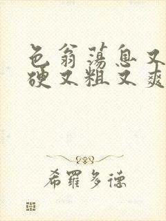 色翁荡息又大又硬又粗又爽电影