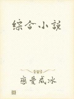 综合小说封面