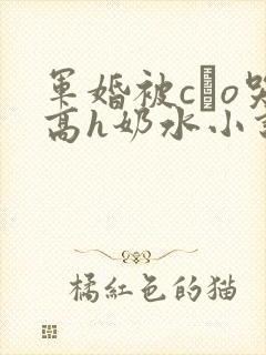 军婚被cαo哭高h奶水小说