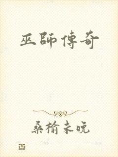 巫师传奇封面