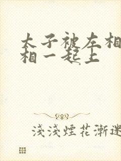 太子被左相和右相一起上