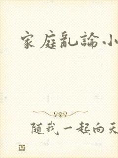 家庭乱论小说