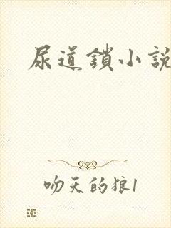 尿道锁小说