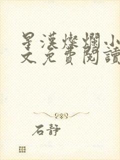 星汉灿烂小说全文免费阅读