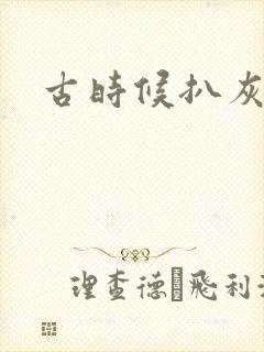 古时候扒灰小说
