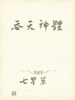 吞天神体封面