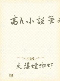 高h小说笔趣阁