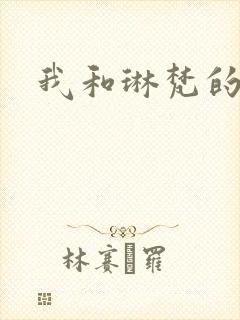 我和琳梵的故事封面