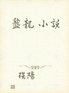 盘龙 小说封面