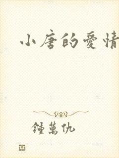 小唐的爱情史