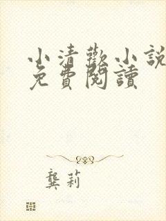 小清欢小说全文免费阅读