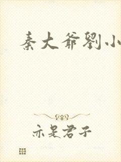 秦大爷刘小静