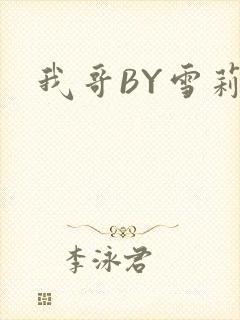 我哥BY雪莉封面