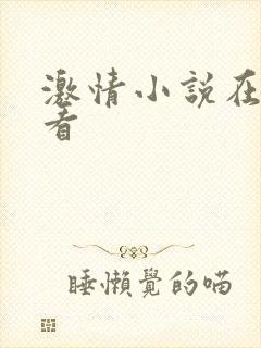 激情小说在线观看封面