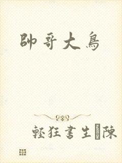 帅哥大鸟