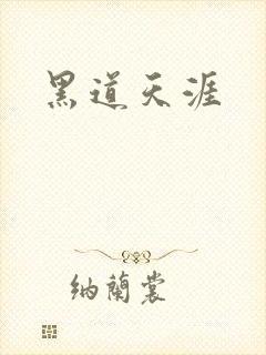 黑道天涯封面