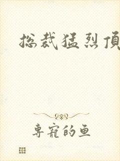 总裁猛烈顶弄h