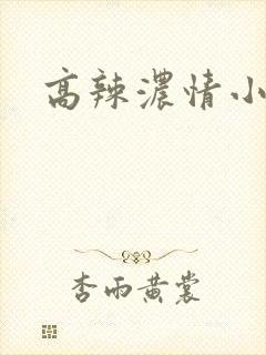 高辣浓情小说