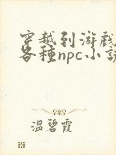 穿越到游戏里和各种npc小说封面