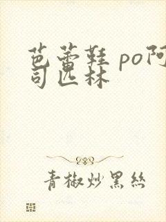 芭蕾鞋 po阿司匹林封面