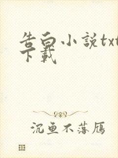 告白小说txt下载
