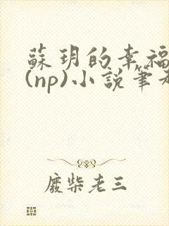 苏玥的幸福生活(np)小说笔趣阁