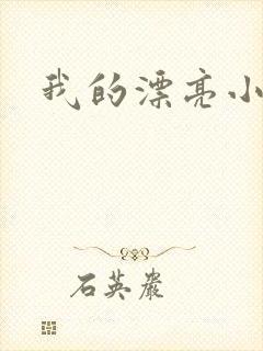 我的漂亮小后妈