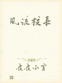 风流校长封面