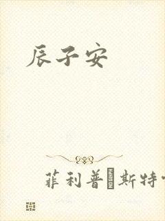 辰子安封面