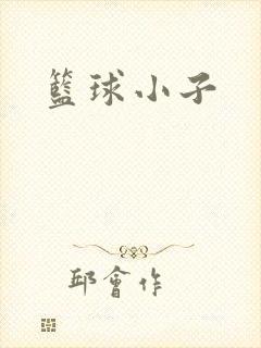 篮球小子