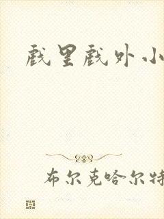 戏里戏外小说