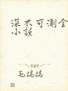 深不可测金银花小说封面