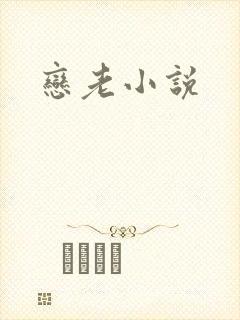 恋老小说