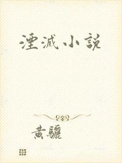 湮灭小说