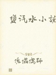 盐汽水小说