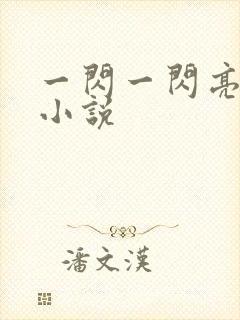 一闪一闪亮星星小说封面