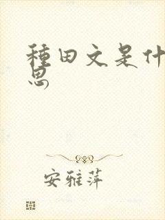 种田文是什么意思封面