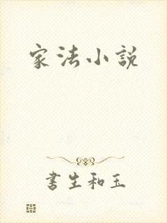 家法小说