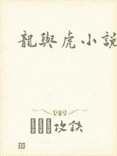 龙与虎小说