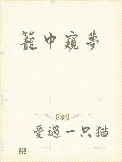 笼中窥梦