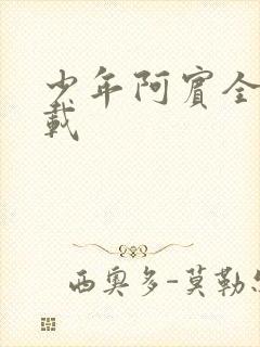 少年阿宾全集下载