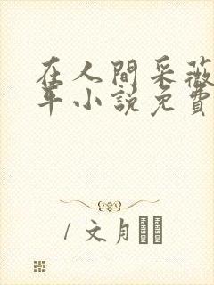 在人间采薇陆三平小说免费阅读封面