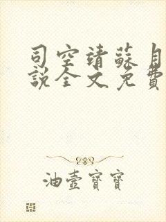 司空靖苏月汐小说全文免费阅读