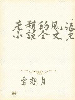 老赵的风流人生小说全文免费阅读封面