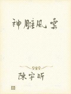 神雕风云封面