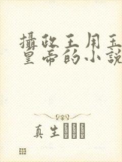 摄政王用玉髓整皇帝的小说