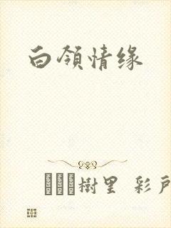 白领情缘